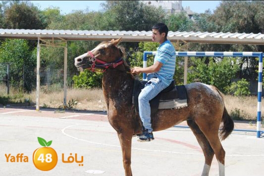 torath droor  (7).JPG